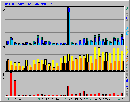 Daily usage for January 2011