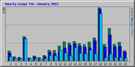 Hourly usage for January 2011