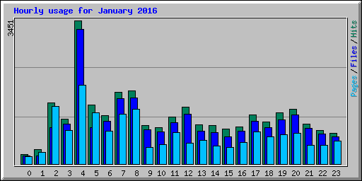 Hourly usage for January 2016