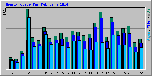 Hourly usage for February 2016