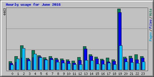 Hourly usage for June 2016