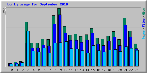 Hourly usage for September 2016